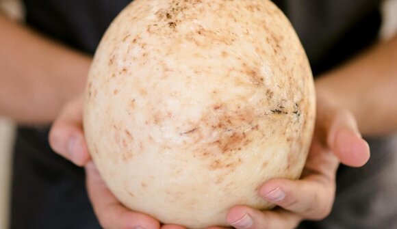 Laboratorio del Gusto: Perle pugliesi