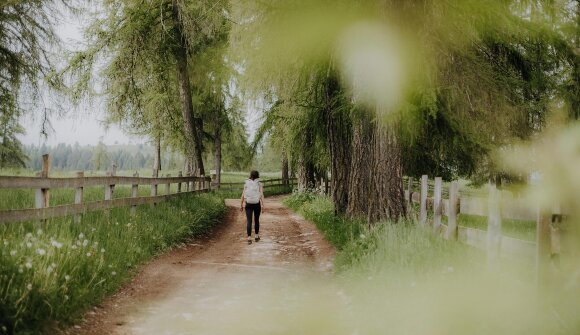 Boschi e prati - fonte di benessere