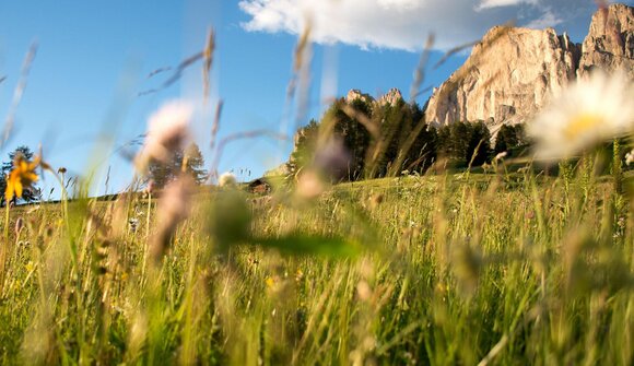 Wanderung zur Haniger Schwaige
