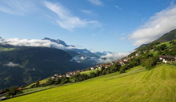 Naturkundliche Frühlingswanderung