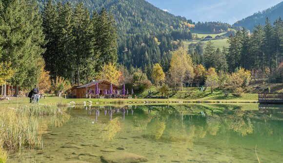 Concerto della banda musicale