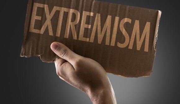 Vom Reiz zur Radikalisierung