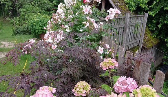 Gartenliebe Andrian & Terlan 2026