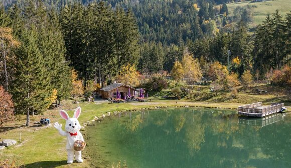 Hasensuche am Fischerteich