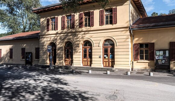 Kino "Is This Thing On?"