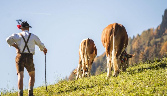Transumanza e festa d'autunno