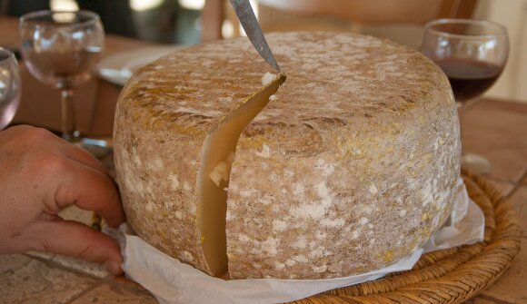 Cheese Quiz