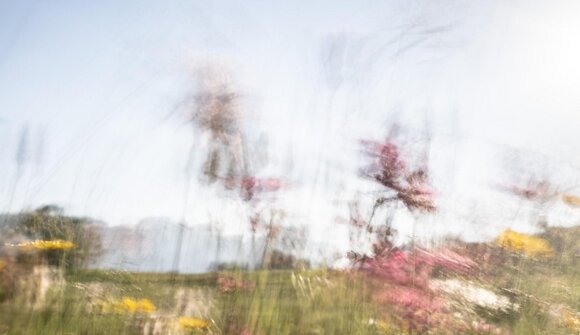 Eröffnung: Heinz Innerhofer motus BERG