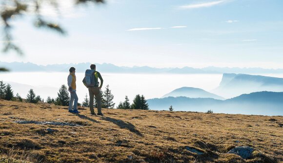 Shuttle Kreuzbrünnl - Naturns Rückfahrt