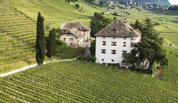 Guided vineyard tour Castel Ringberg