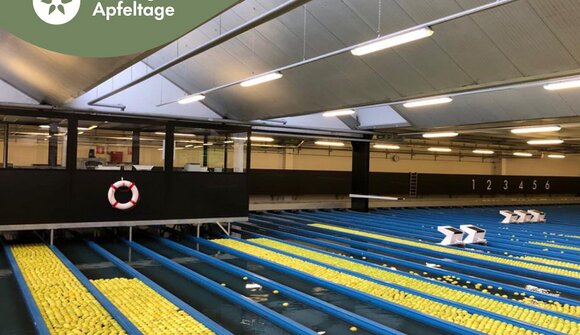 Vinschgau Apple Days: Open Day