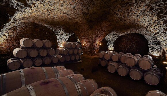 Degustazione vini - Castel Sallegg