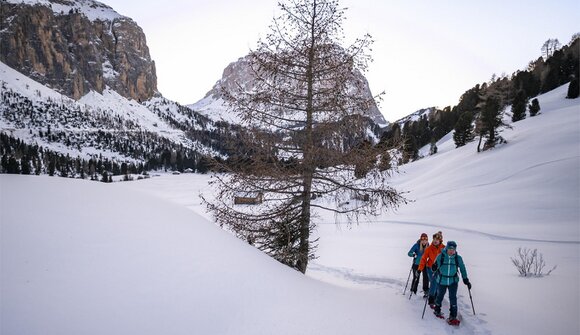 Snowshoeing - Plans de Frea