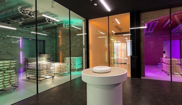 Guided e-bike tour: bike & cheese