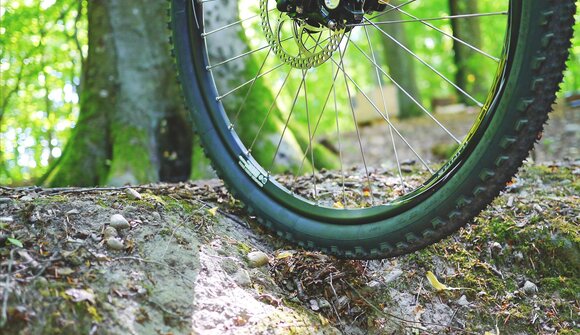 E-Bike Tour auf die Plätzwiese