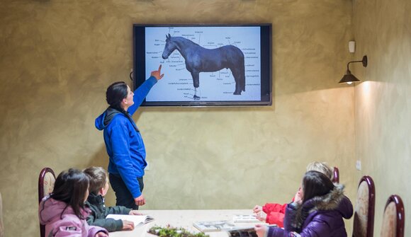 Horse adventure for children