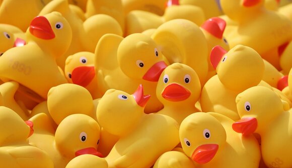 Duck race for a good cause