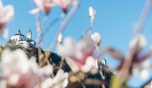 Frühjahrskonzert der MK Gufidaun