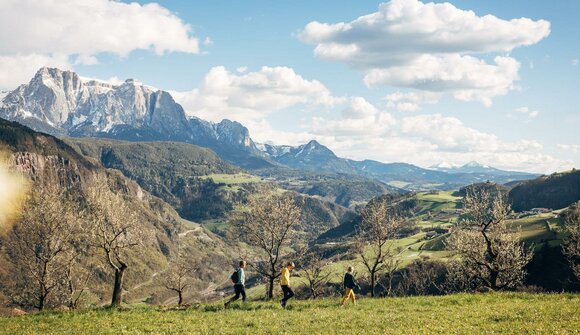 Guided spring hike in Barbiano