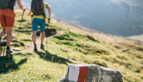 Alpine Gipfelwanderung: Plattenspitze