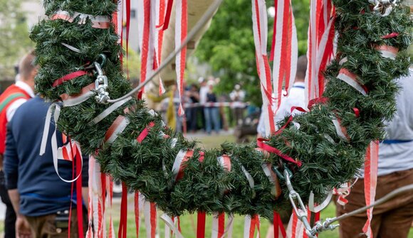Festa dell'albero di Maggio