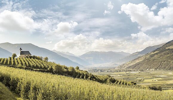 Geführte Wanderung auf dem Apple Walk