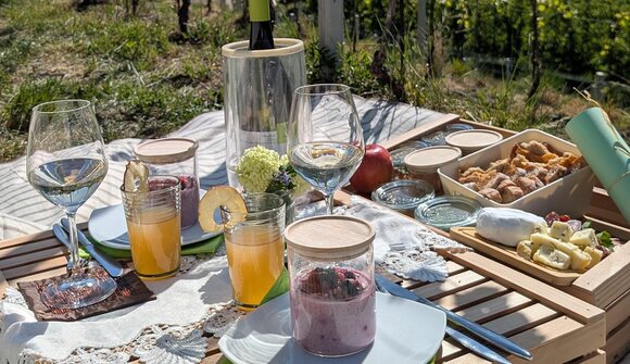 Godetevi un picnic tra i vigneti