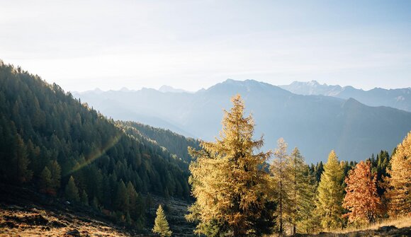 Golden Moments in the Mountains