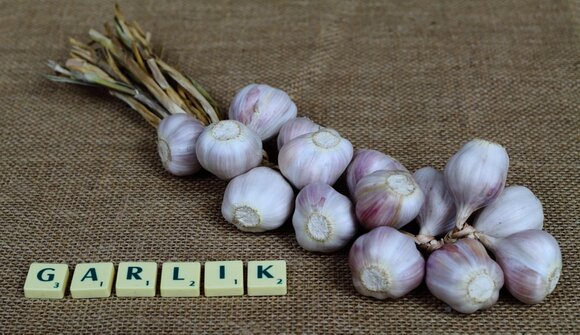 Corso d'inglese B1.2