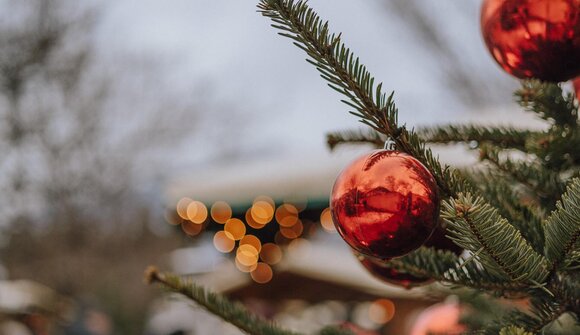 Märchenstunde im Sterntalerwald