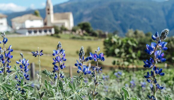 "I tesori culinari di Anterivo"