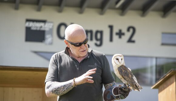 Birds of prey