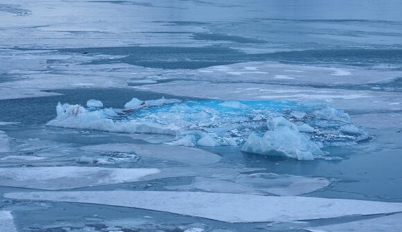 Europei Open di Ice Swimming