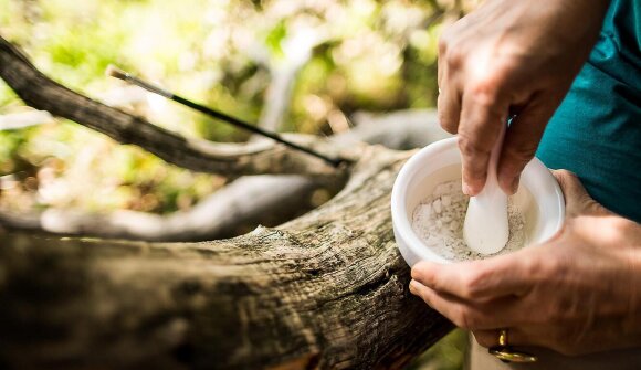 Kräuterwanderung in Schenna