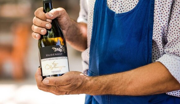Weinverkostung - Weingut Haidenhof