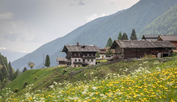 Zu Berghöfen und Urlärchen im Ultental