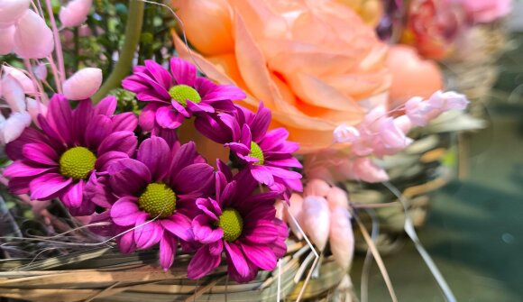 Tag der offenen Gärtnerei