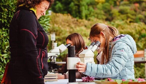 Autumn at the Gardens