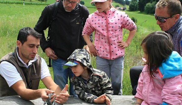 Wanderung: Die Amphibien Südtirols