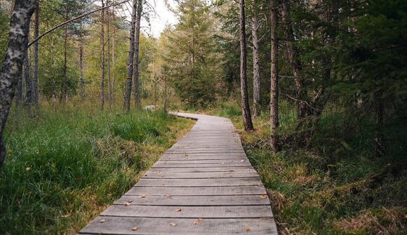 Together against invasive plants