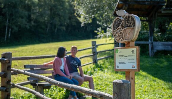 Geführte Wanderung auf dem Apple Walk