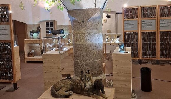 Guided tours in Easy Language