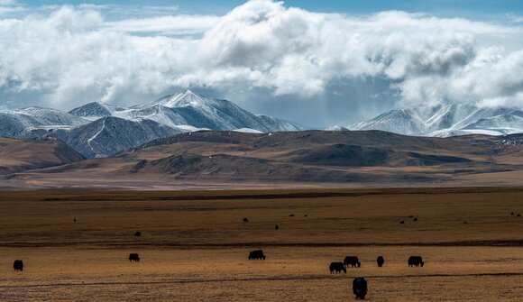 Vortrag "Auf dem Dach der Welt - Tibet"