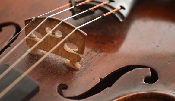 Orchestra Haydn - Beethoven Spirit