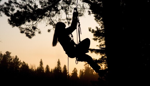 Dolorock Climbingfestival
