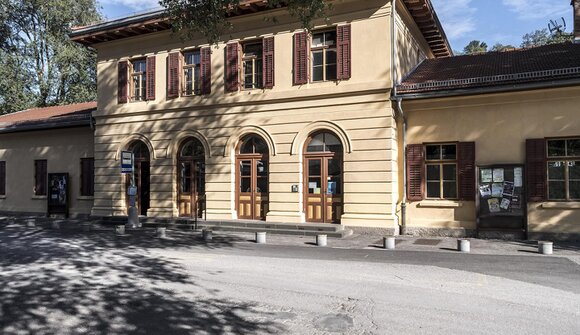 Kino "Charlie der Superhund"