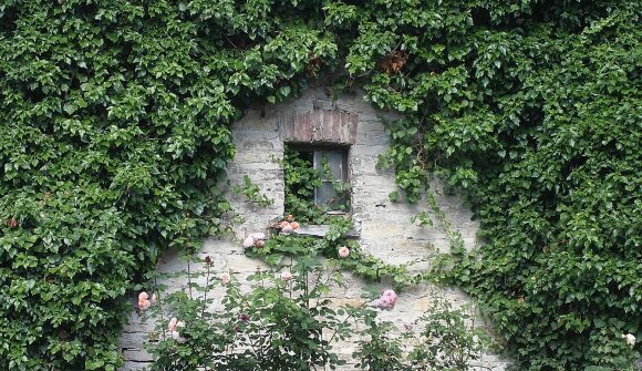 Gärten im Gleichgewicht