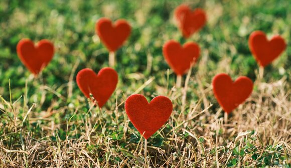 Love, Pleasure & Passion from the Garden