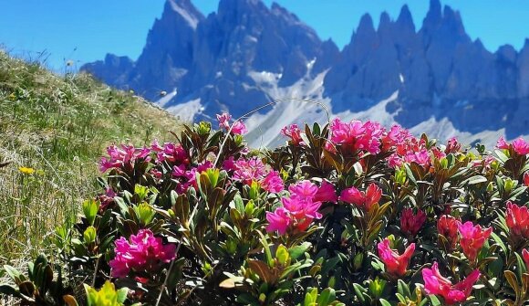 Mercoledì in tour: Plose