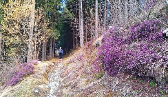 Hike: between two mountain worlds